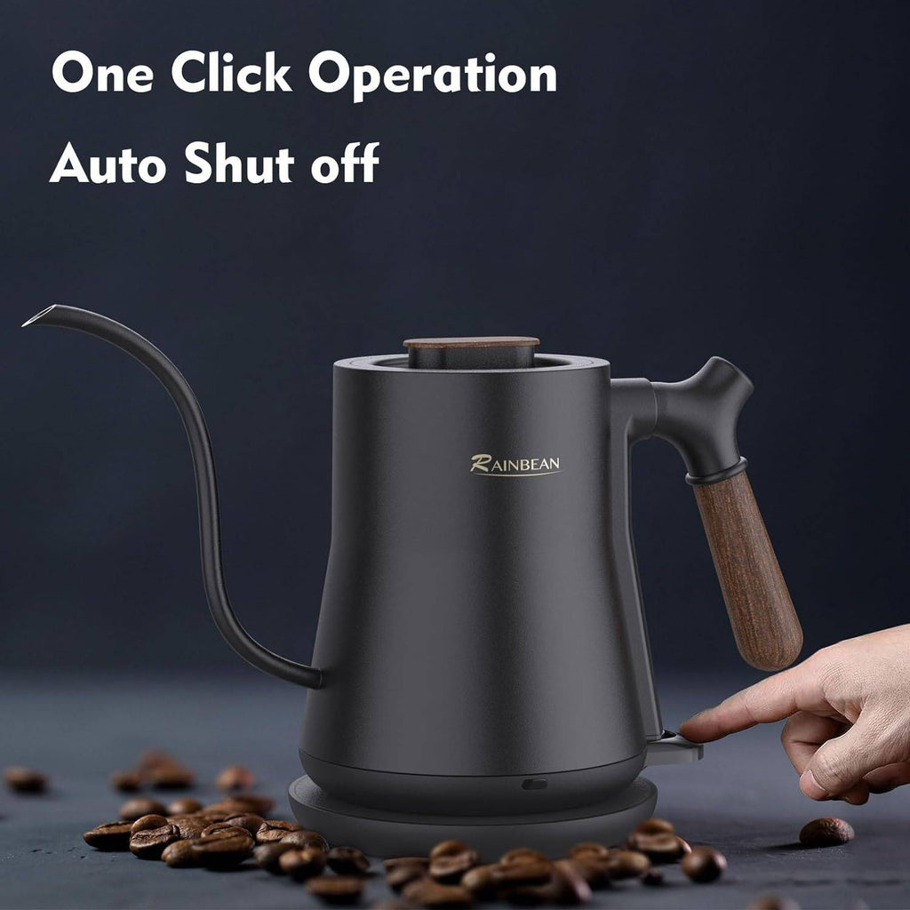 Stainless Gooseneck Kettle