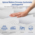 Queen 14 Inch UltraHighDensity Memory Foam Mattress