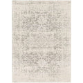 5' x 7' Distressed Oriental Area Rug in Light Grey / Beige