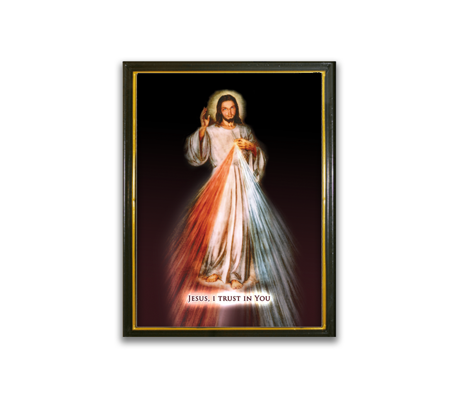 Divine Mercy Jesus I Trust In You Framed Print