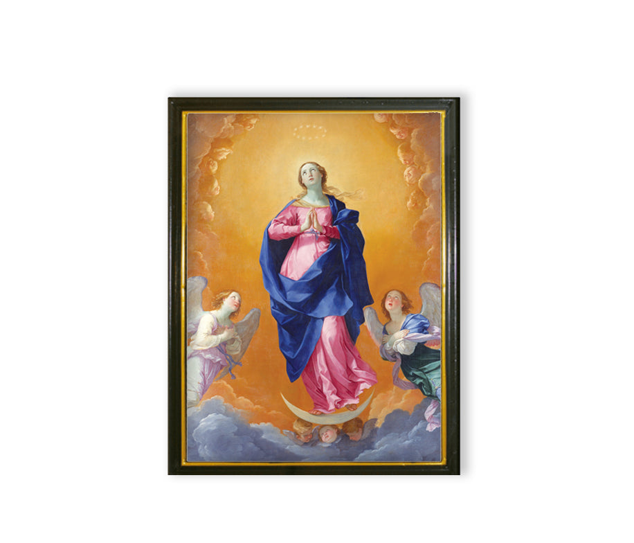 Immaculate Conception Framed Print